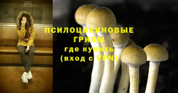 марки lsd Бугульма