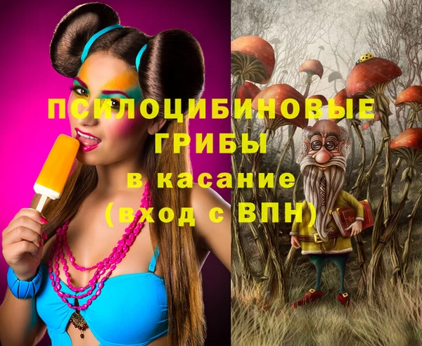 мдпв Богородицк