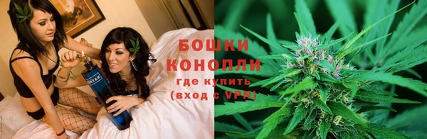 мдпв Богородицк