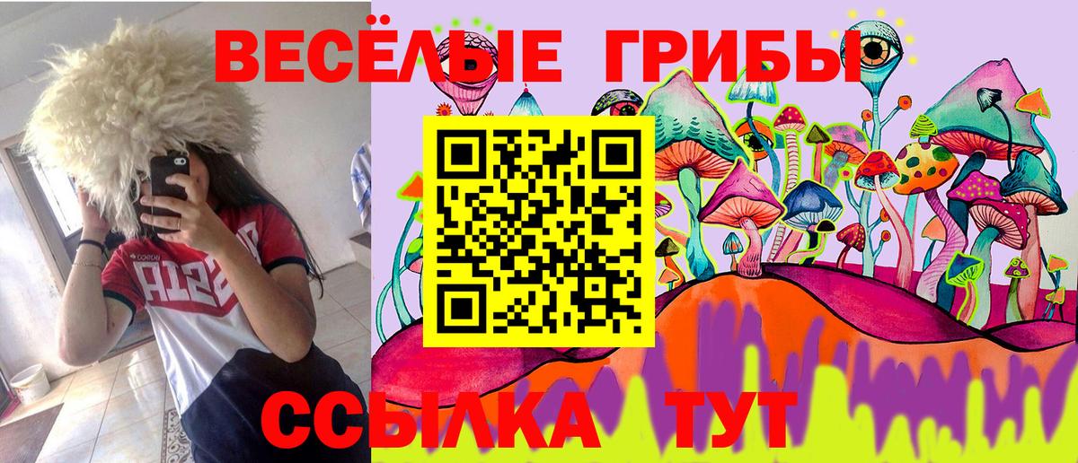 Псилоцибиновые грибы MAGIC MUSHROOMS  Вход с VPN  Горно-Алтайск  Галлюциногенные грибы MAGIC MUSHROOMS 